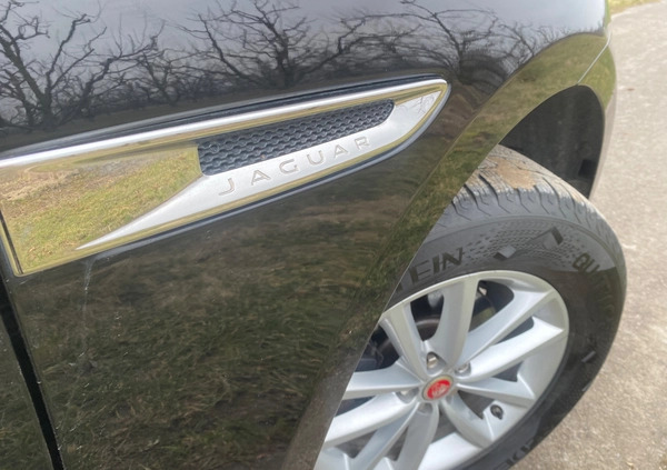 Jaguar F-Pace cena 79999 przebieg: 186000, rok produkcji 2016 z Staszów małe 704